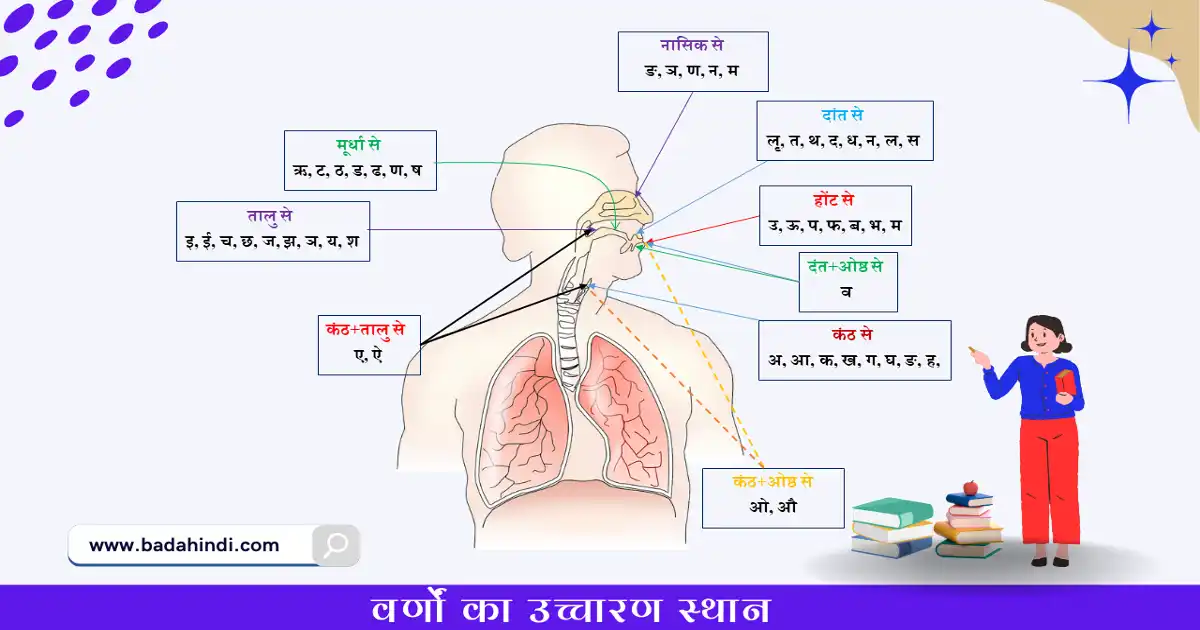 वर्णों के उच्चारण स्थान का चित्र